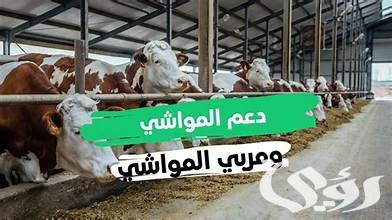 تحديث بيانات دعم مربي المواشي