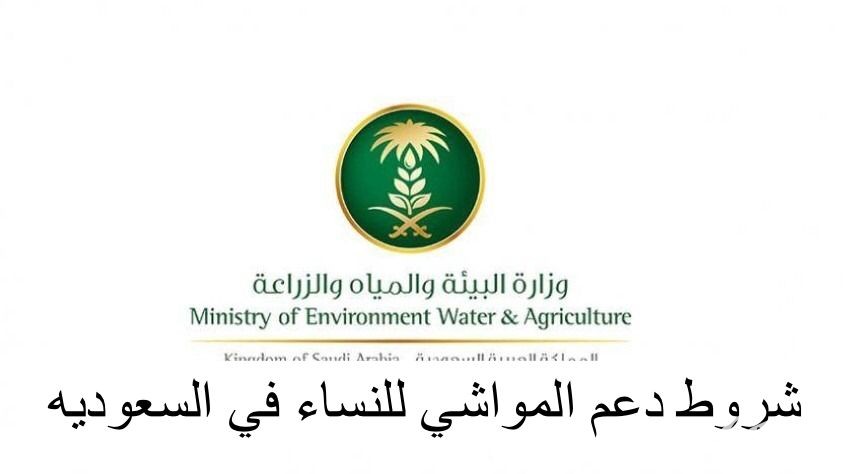 شروط دعم المواشي للنساء في السعودية