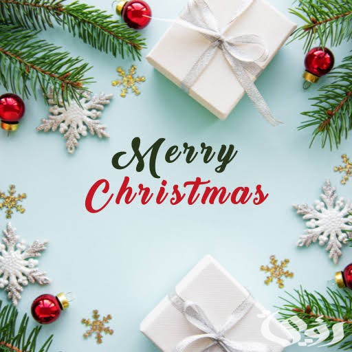 images 2023 12 20T233219.868