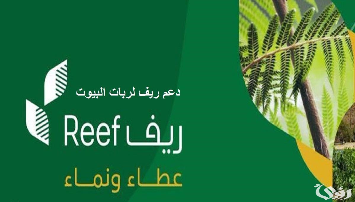 كم مبلغ دعم منصة ريف للمواطنين