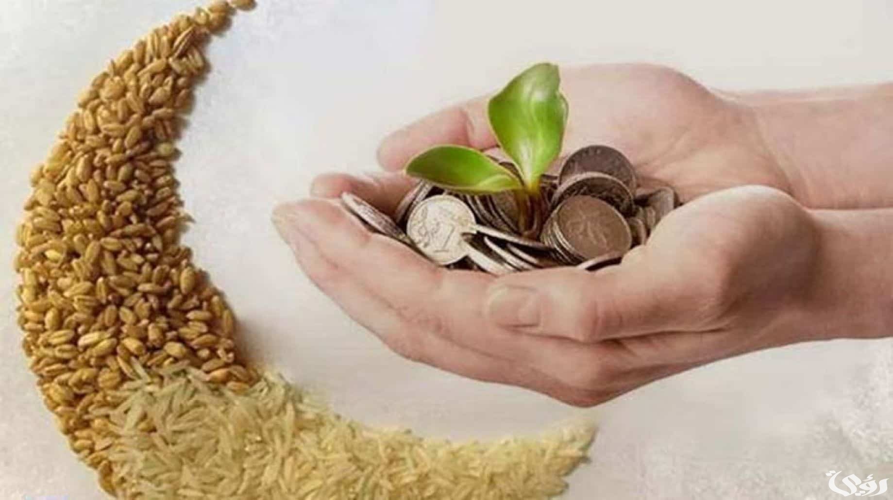 كم قيمة زكاة الفطر بالدينار الكويتي 2024