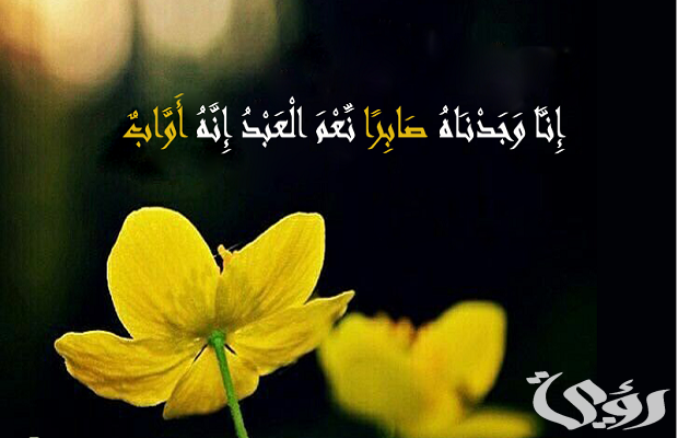 من هو النبي الذي جاء بعد يوسف