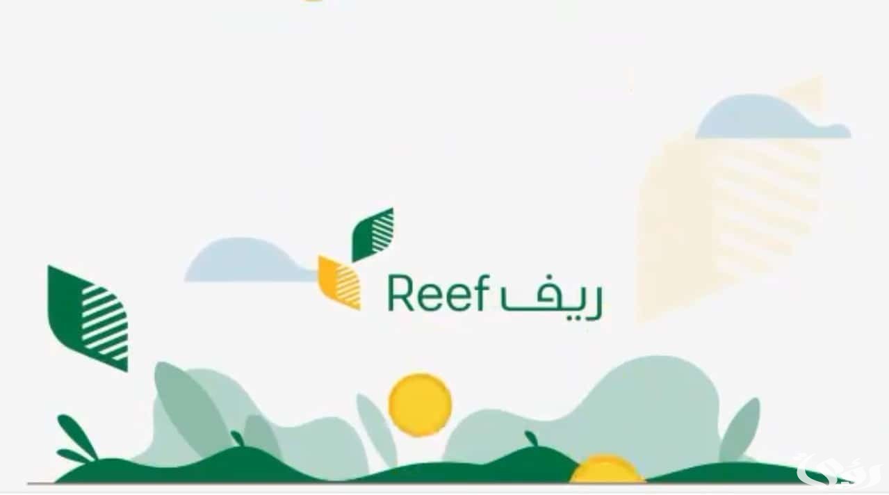 الاستعلام برقم الهوية الوطنية عن دعم الريف عن طريق نفاذ 2 الاستعلام برقم الهوية الوطنية عن طريق نفاذ .. كيف استعلم عن دعم ريف