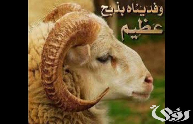 من هو النبي الذي فداه الله بكبش