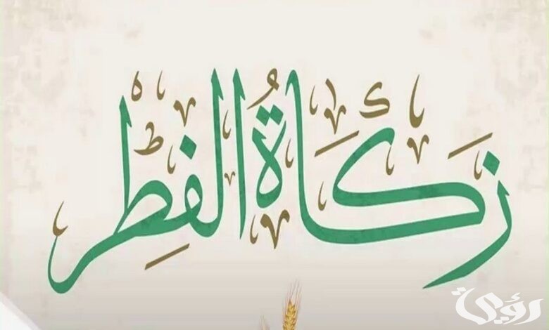 مقدار قيمة زكاة الفطر في مصر 2026.. نقدًا وحبوب 3 كم قيمة زكاة الفطر بالجنية المصري 2024