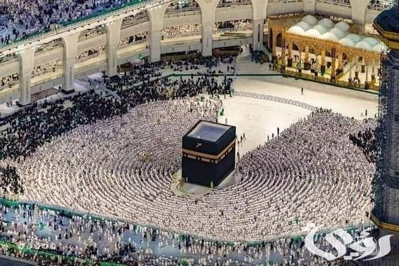 متى يتم إرجاع المبالغ المدفوعة بعد إلغاء حجز الحج 1447؟.. "وزارة الحج" تجيب 4 متى يتم إرجاع المبالغ المدفوعة بعد إلغاء حجز الحج