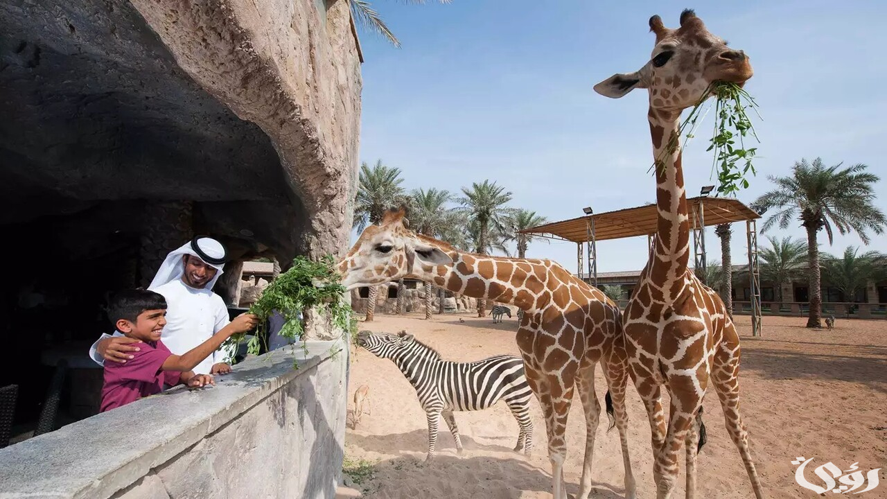 شروط دخول حديقة الحيوانات في أبوظبي 2024 والرسوم المطلوبة