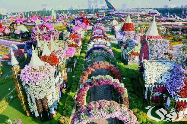 موعد وخطوات حجز حجز تذاكر "حديقة الزهور" في دبي وأسعارها 2026 5 كيفية حجز تذاكر "حديقة الزهور" في دبي 2024 وأسعارها ومواعيد العمل