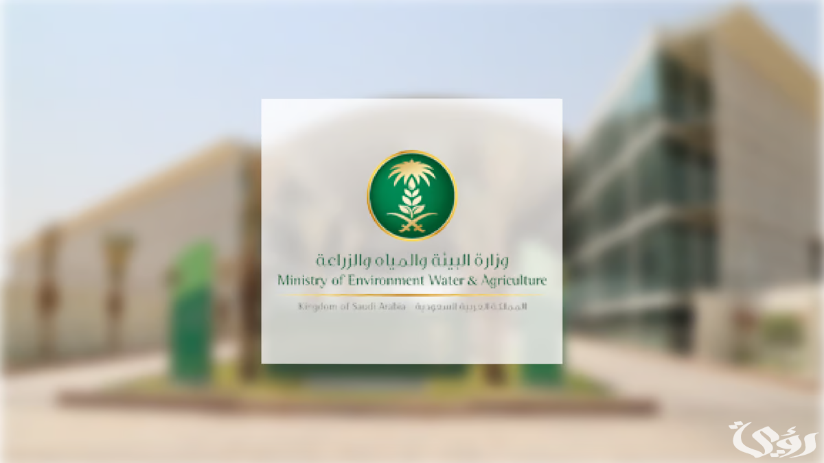 مع أول أيام العيد.. "بيئة مكة" تكثف أعمالها في العاصمة المقدسة لتوفير الأجواء الصحية الآمنة