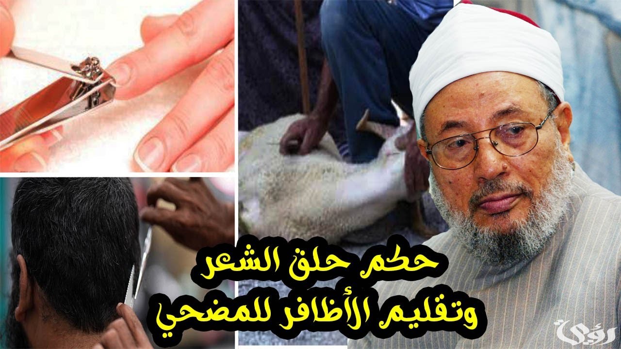 "هيئة كبار العلماء" اجتناب تقليم الأظافر وقص الشعر للمضحي في العشر مستحب وليس واجبًا 5 "المطلق": اجتناب تقليم الأظافر وقص الشعر للمضحي في العشر.. مستحب وليس واجبًا