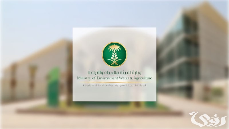 الزراعة: إنشاء المصانع داخل المزارع يُسهم في تحقيق مستهدفات الأمن الغذائي