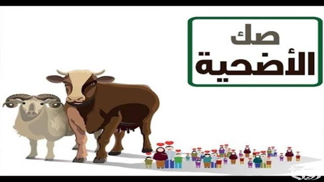 اسعار صك الاضحية 2024