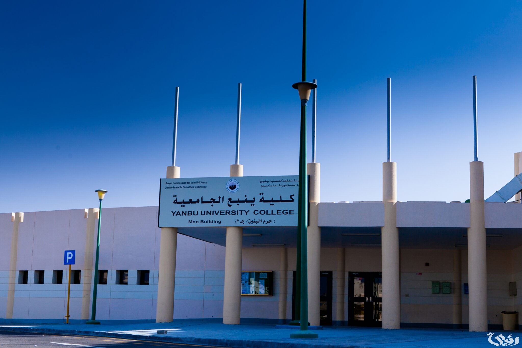 نسب القبول في جامعة ينبع