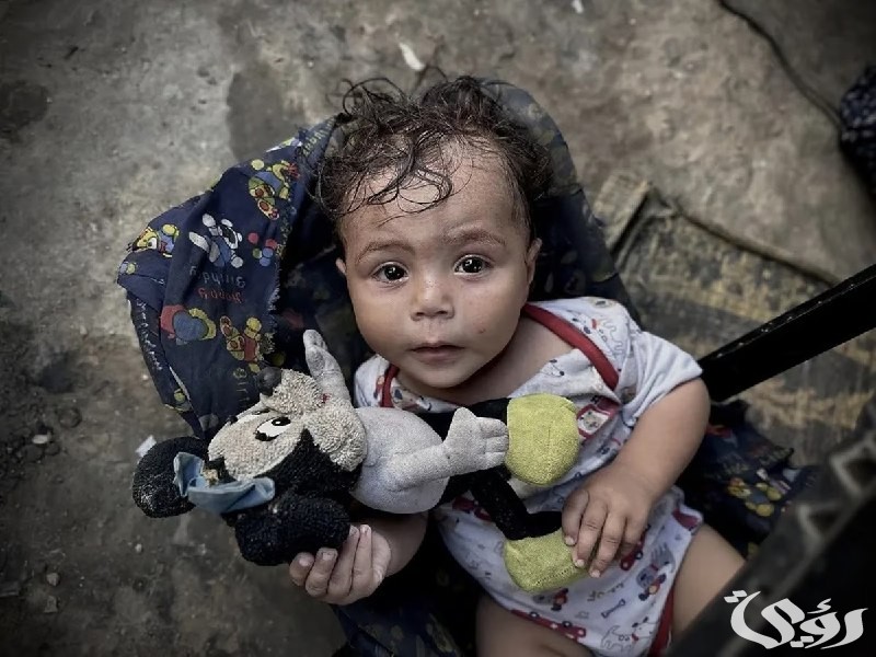 درجات الحرارة المرتفعة.. عدوٌّ جديد ينضم للاحتلال في غزة 2 الحَر يُفاقم المعاناة.. عدوٌّ جديد ينضم للاحتلال الإسرائيلي في غزة