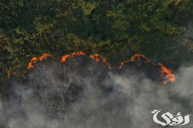 الحرائق تشعل العالم وتجتاحه.. وخبراء لسنا مستعدين لتغير المناخ