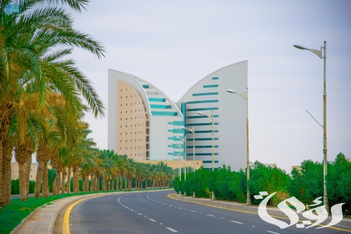 جامعة نجران تُطلق اليوم 9 برامج تدريبية مجانية لأفراد المجتمع .. تابع التفاصيل