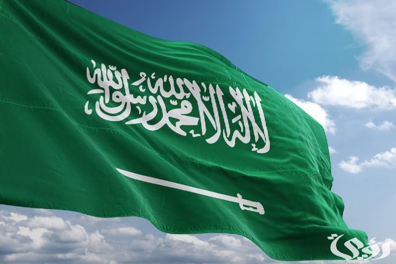 السعودية تستقطب العقول النادرة: خطوة نحو تحقيق رؤية 2030