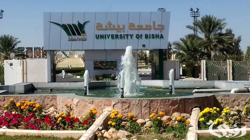 جامعة بيشة تعلن فتح باب القبول في التخصّصات بمرحلتَي البكالوريوس والدبلوم 1447 6 للعام الجامعي 1446هـ.. جامعة بيشة تُتيح القبول في 10 تخصّصات بمرحلتَي البكالوريوس والدبلوم