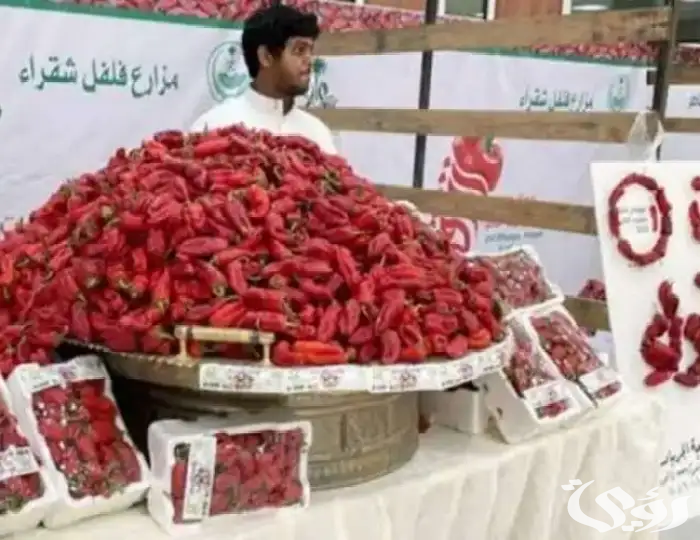 "محافظ شقراء" يعلن تدشين فعاليات مهرجان فلفل شقراء الرابع 2 محافظ شقراء يدشّن فعاليات مهرجان "فلفل شقراء الرابع"