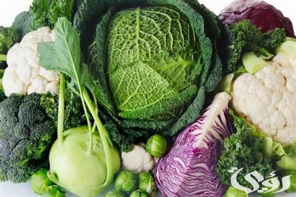 هل الملفوف مسموح في نظام الكيتو دايت