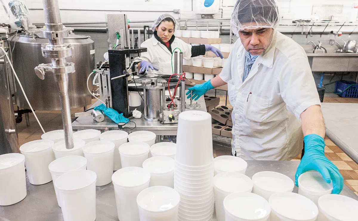 دراسة جدوى مشروع منتجات الألبان والسمن البلدي