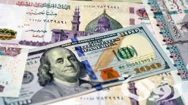 معنى تحرير سعر الصرف وأسبابه وعيوبة على الاقتصاد