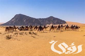 "محمية الملك سلمان".. معالم فريدة وطبيعة بكر