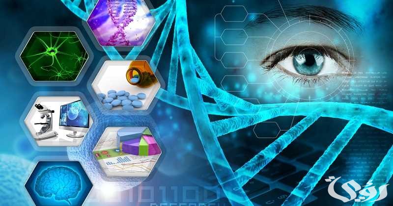 خطوات الطريقة العلمية احياء