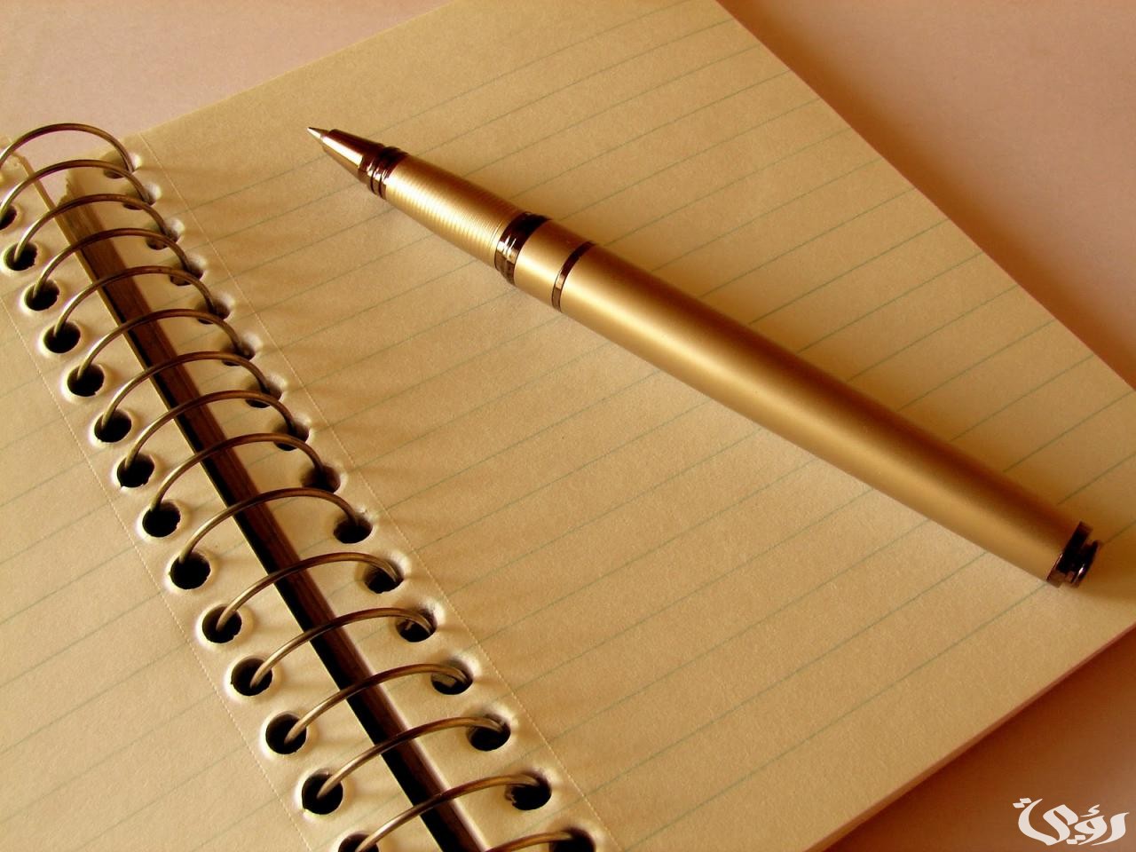 نموذج شكوى إدارية ضد موظف