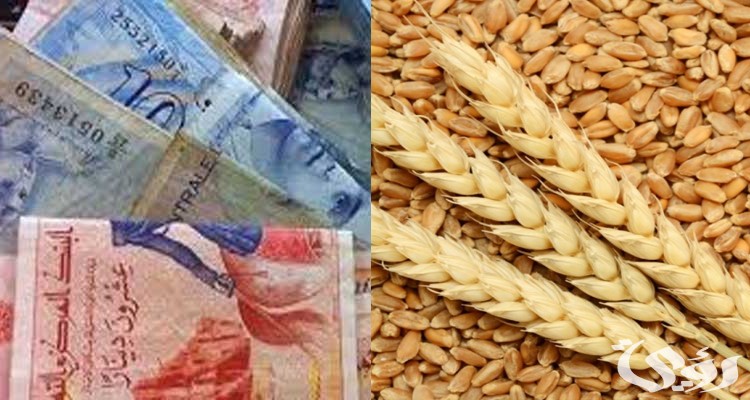 أسعار الحبوب والغلال في مصر 2025