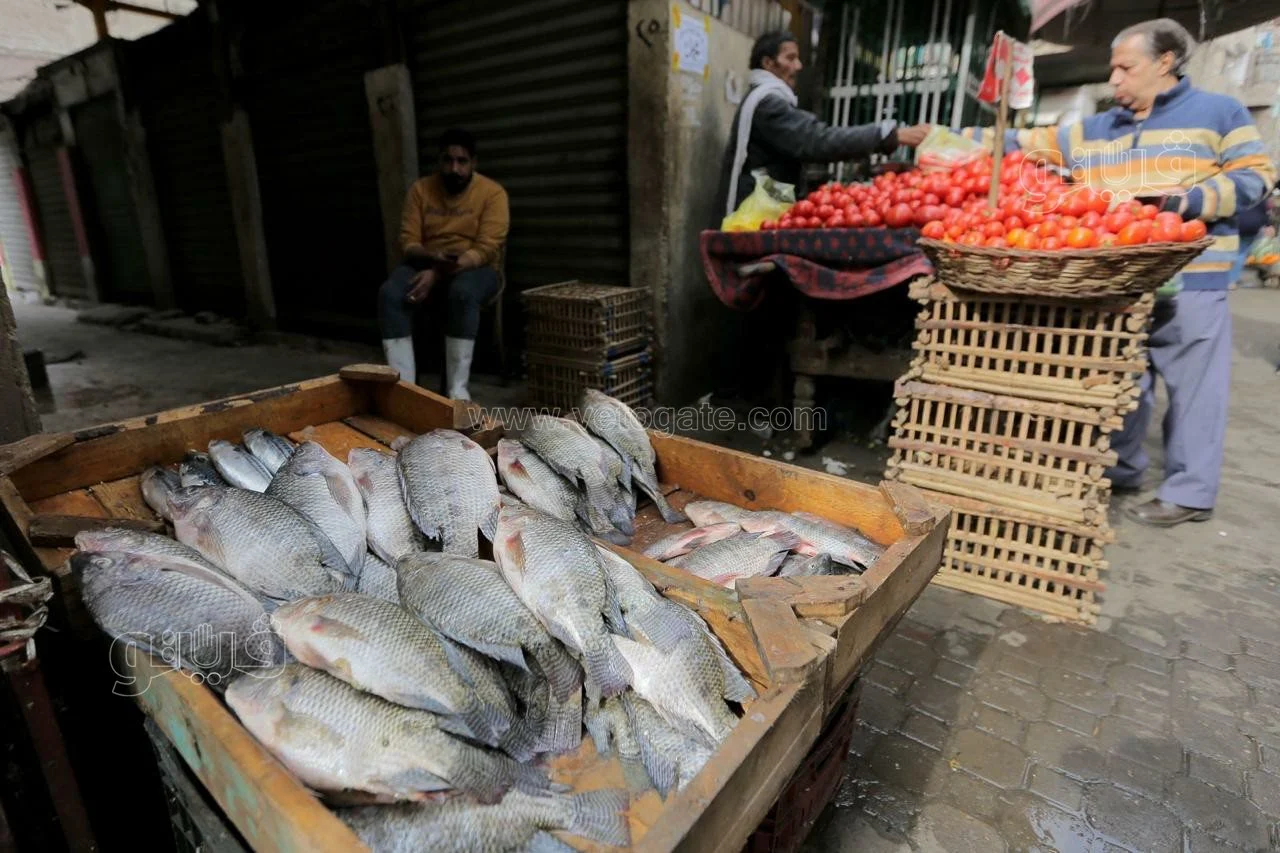 أسعار السمك اليوم في سوق العبور 2025