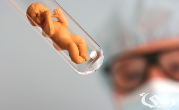 تكلفة عملية طفل الأنابيب في مركز سمير عباس 2026 5 تكلفة عملية طفل الأنابيب في مركز سمير عباس