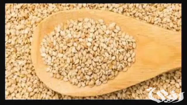 سعر كيلو السمسم في مصر اليوم 2025