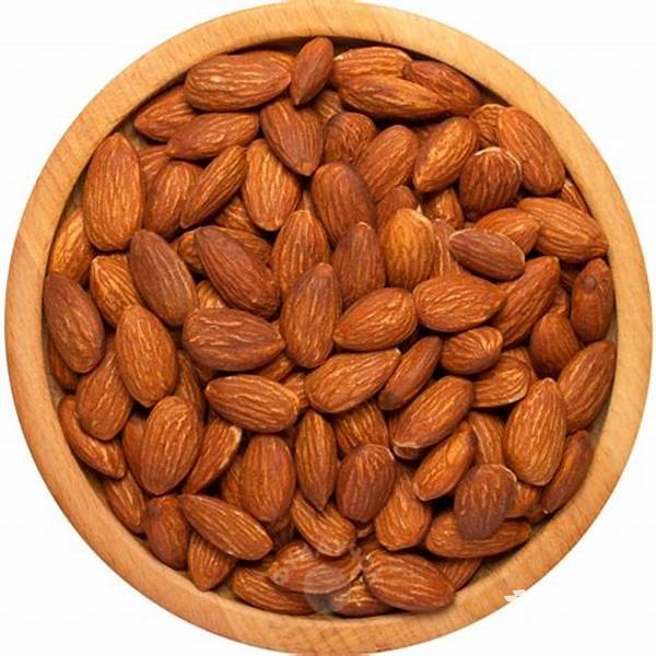 سعر كيلو اللوز في مصر اليوم 2025