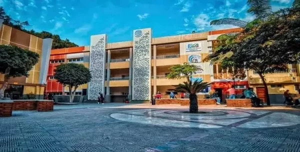 مصاريف و تنسيق كلية BIS بالزمالك مع شروط التقديم 2024-2025