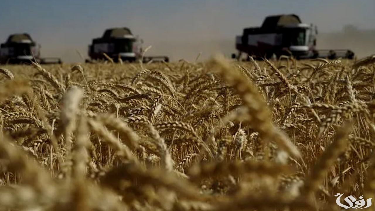 "بعد هروب بشار الأسد إليها".. روسيا تعلق إصدار إمدادات القمح لروسيا 5 بعد دعمها لـ “بشار الأسد” | روسيا تعلق إصدار إمدادات القمح لـ “سوريا”
