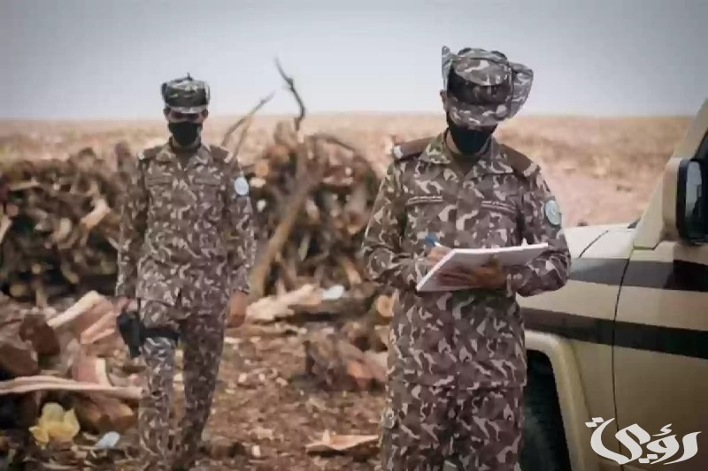 غرامة مالية كبيرة.. الأمن البيئي يشدد على عقوبة الدخول للفياض بالمركبات 3 بالغرامات المالية!! الأمن البيئي يشدد على عقوبة الدخول للفياض بالمركبات