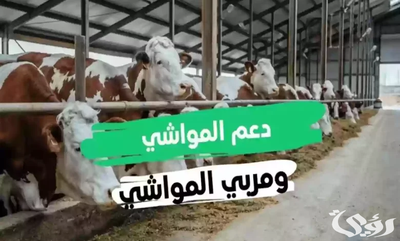 موعد صرف دعم المواشي لشهر يناير 1446 بتوضيح من وزارة البيئة والزراعة