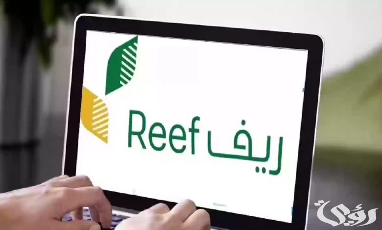 في المملكة.. خطوات الاستعلام عن دعم الريف للعسل 1446 هـ ” إليكم الرابط”