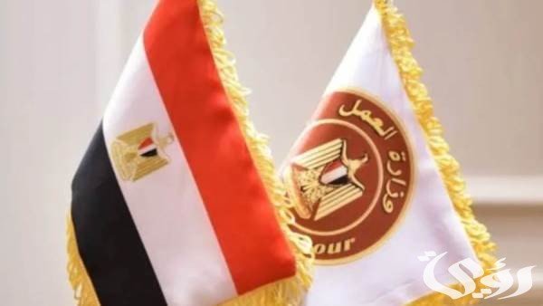فرص عمل للشباب في الخارج براتب 9000 ريال سعودي تعلن عنها وزارة العمل المصرية