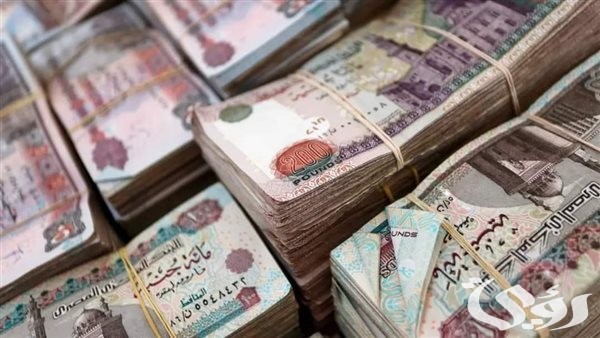 حقيقة رفع الحد الأدنى للأجور 2026.. هل يتم تطبيقه هذا الشهر؟ وزارة المالية تكشف التفاصيل وتُجيب على التساؤلات! 4 حقيقة رفع الحد الأدنى للأجور 2025 وهل يتم تطبيقه هذا الشهر؟.. “المالية” تُجيب