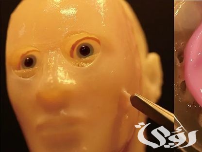 الروبوتات بجلد “بشري”.. اختراع جامد هيغير شكل المستقبل ويثير الإعجاب والجدل