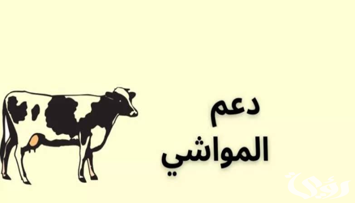 موعد صرف دعم المواشي لكل شهر وطريقة تقديم طلب الحصول عليه