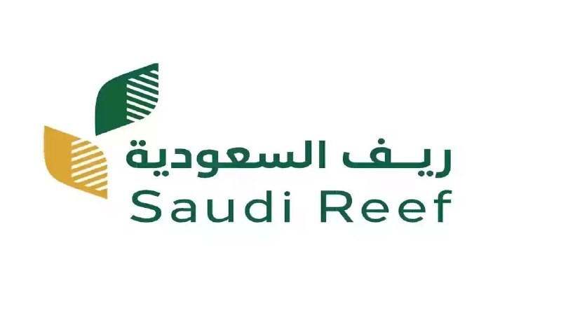 دعم ريف 2026: كيفية الاستعلام عن الدفعة الجديدة والتسجيل عبر reef.gov.sa! 4 كيفية الاستعلام عن دعم ريف الدفعة الجديدة 2025 وخطوات التسجيل عبر reef.gov.sa