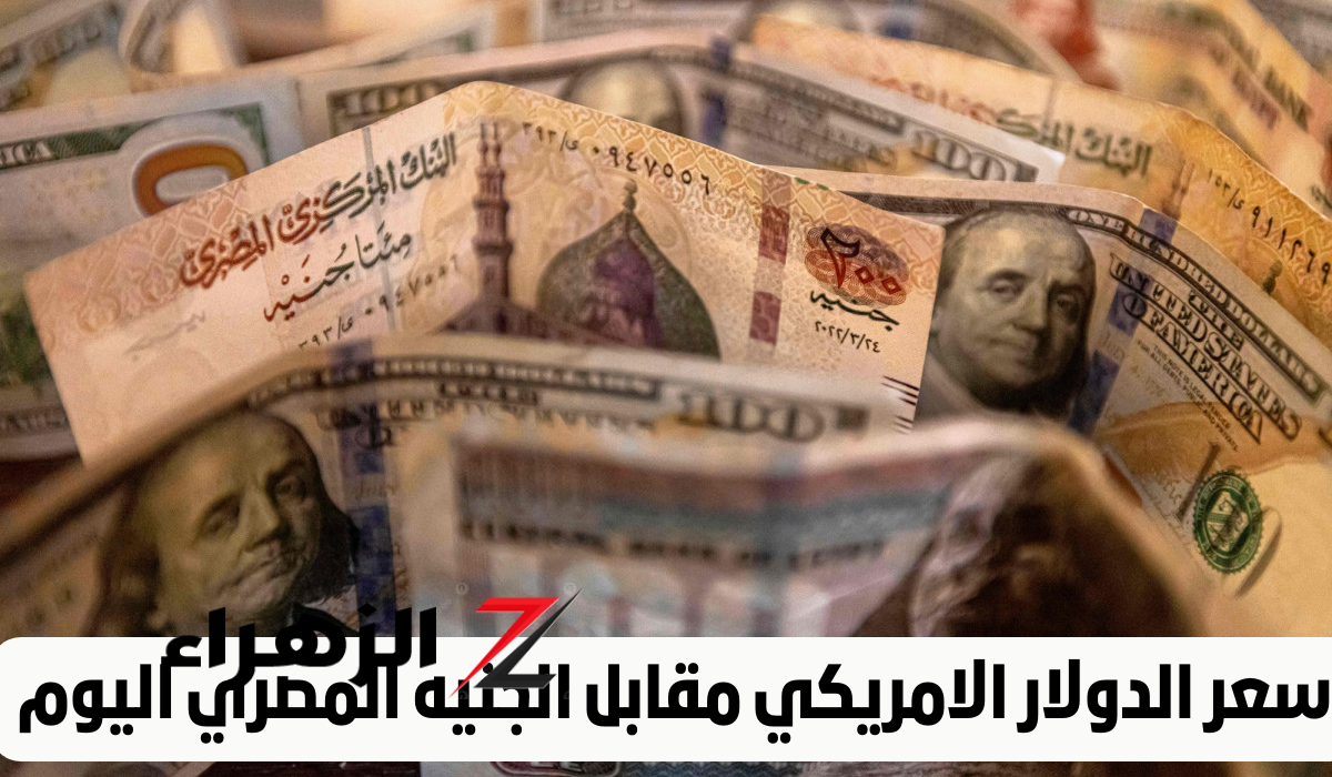 انخفاض تاريخي في سعر الدولار أمام الجنيه: تعرف على الأسعار الجديدة داخل البنوك!